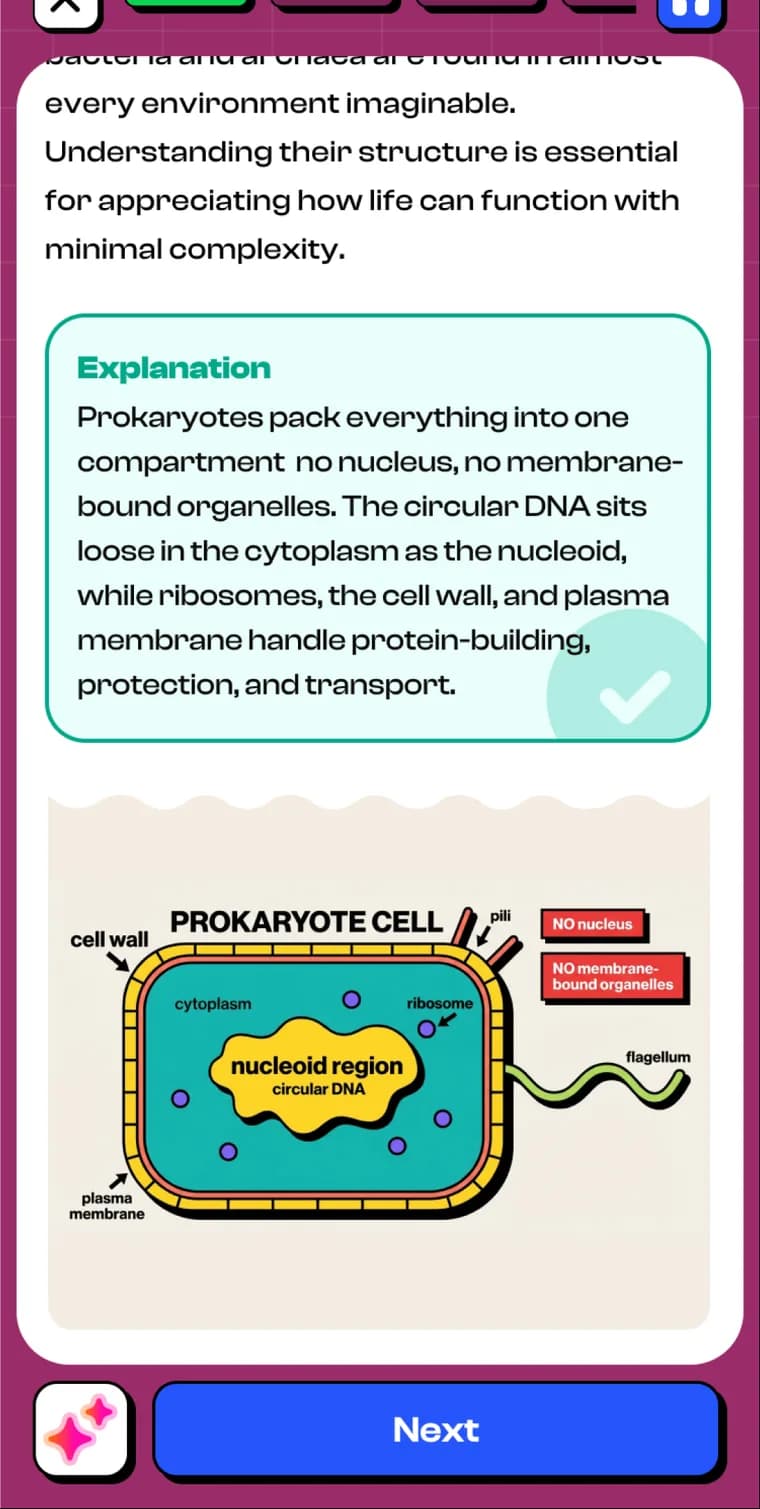 A card lesson on prokaryote cells, with an explanation and a labelled diagram
